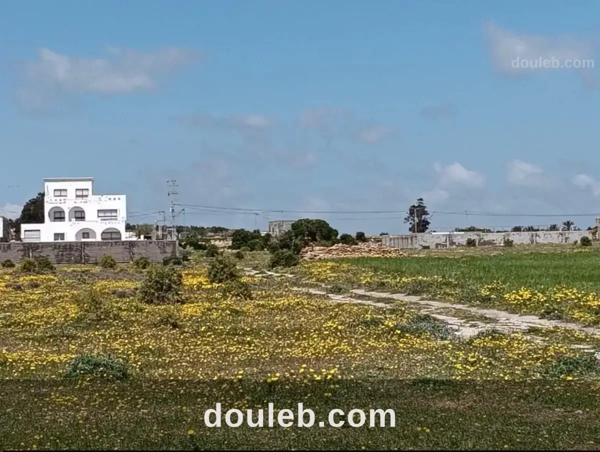 Lots tamezrat à Nabeul