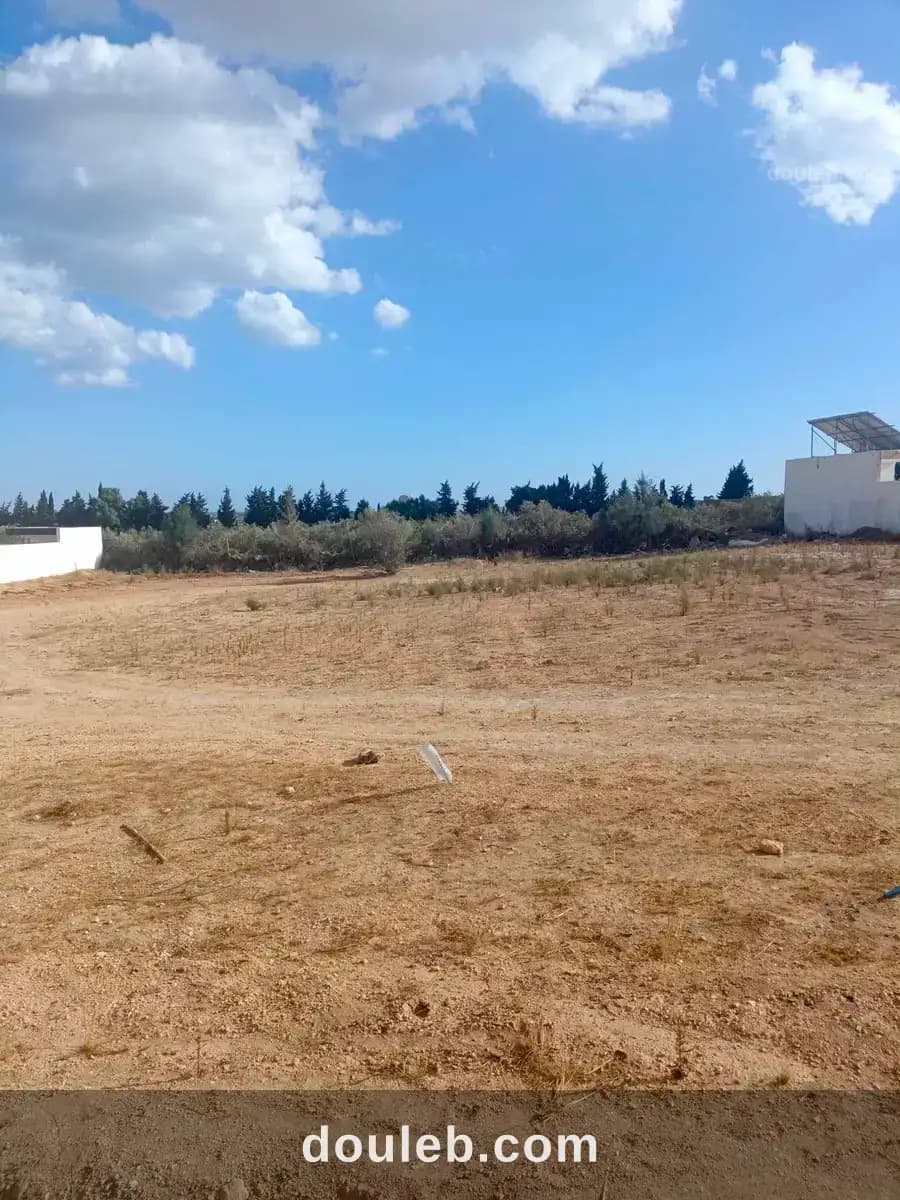 Av terrain de 600m à hammamet sud à Nabeul
