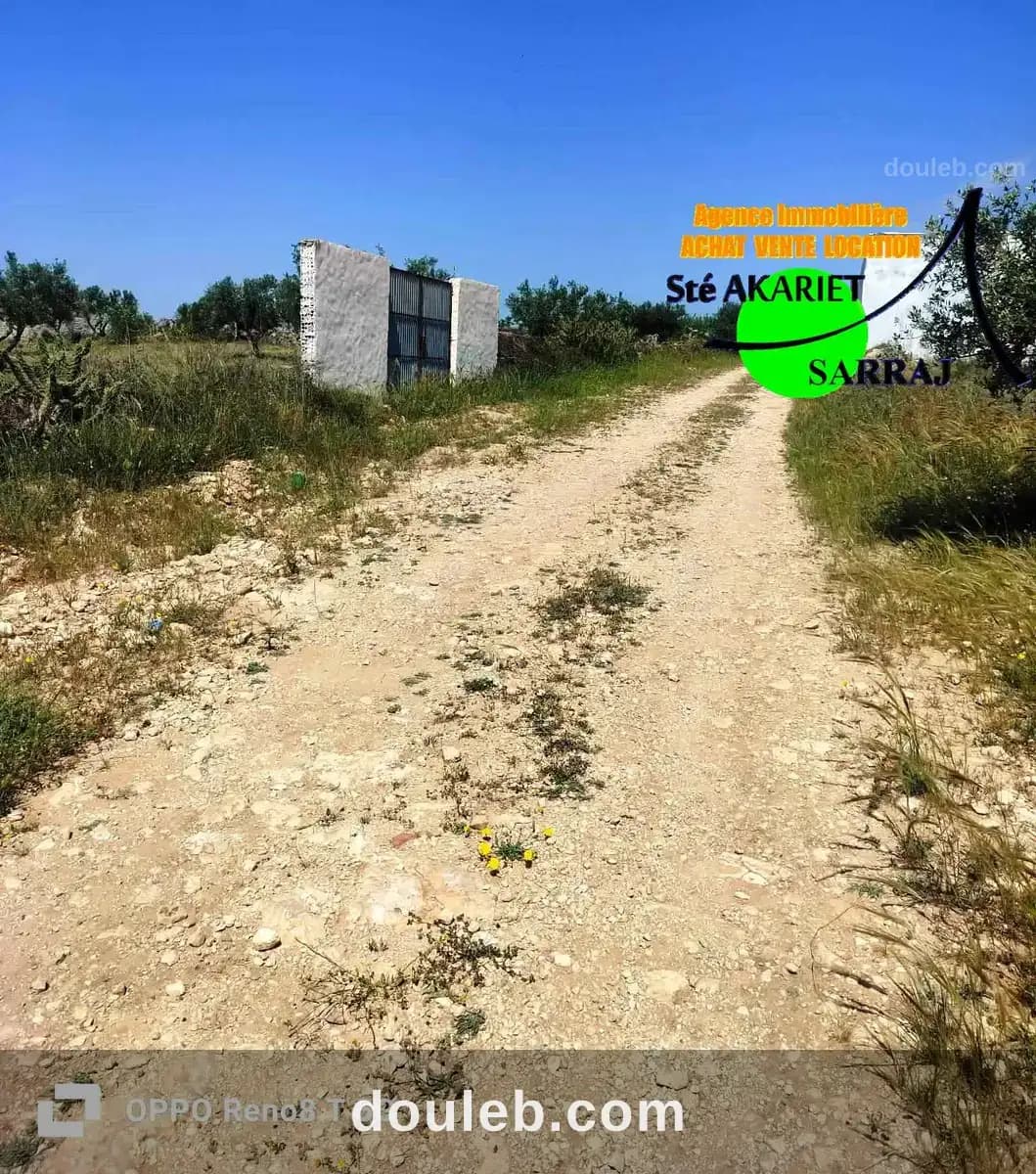 Terrain 4 hectare et 800m à sidi bouali vers knena à Sousse