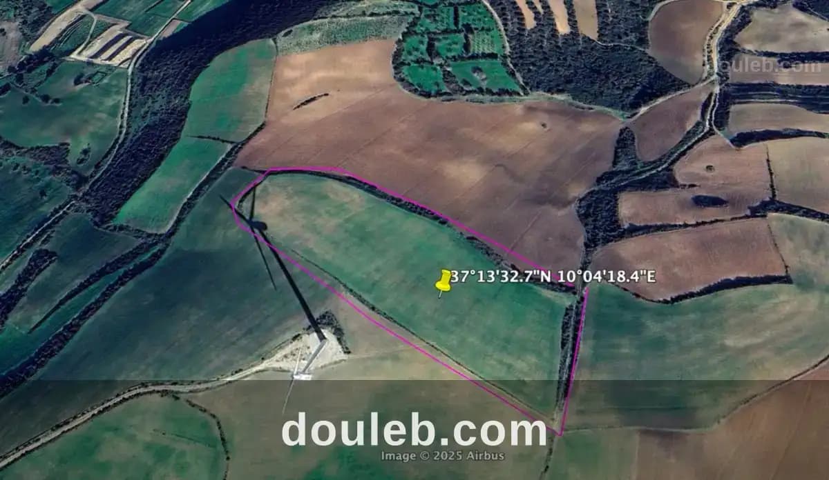 Terrain 1 hectare à ras jebal bizerte beni atta à Bizerte