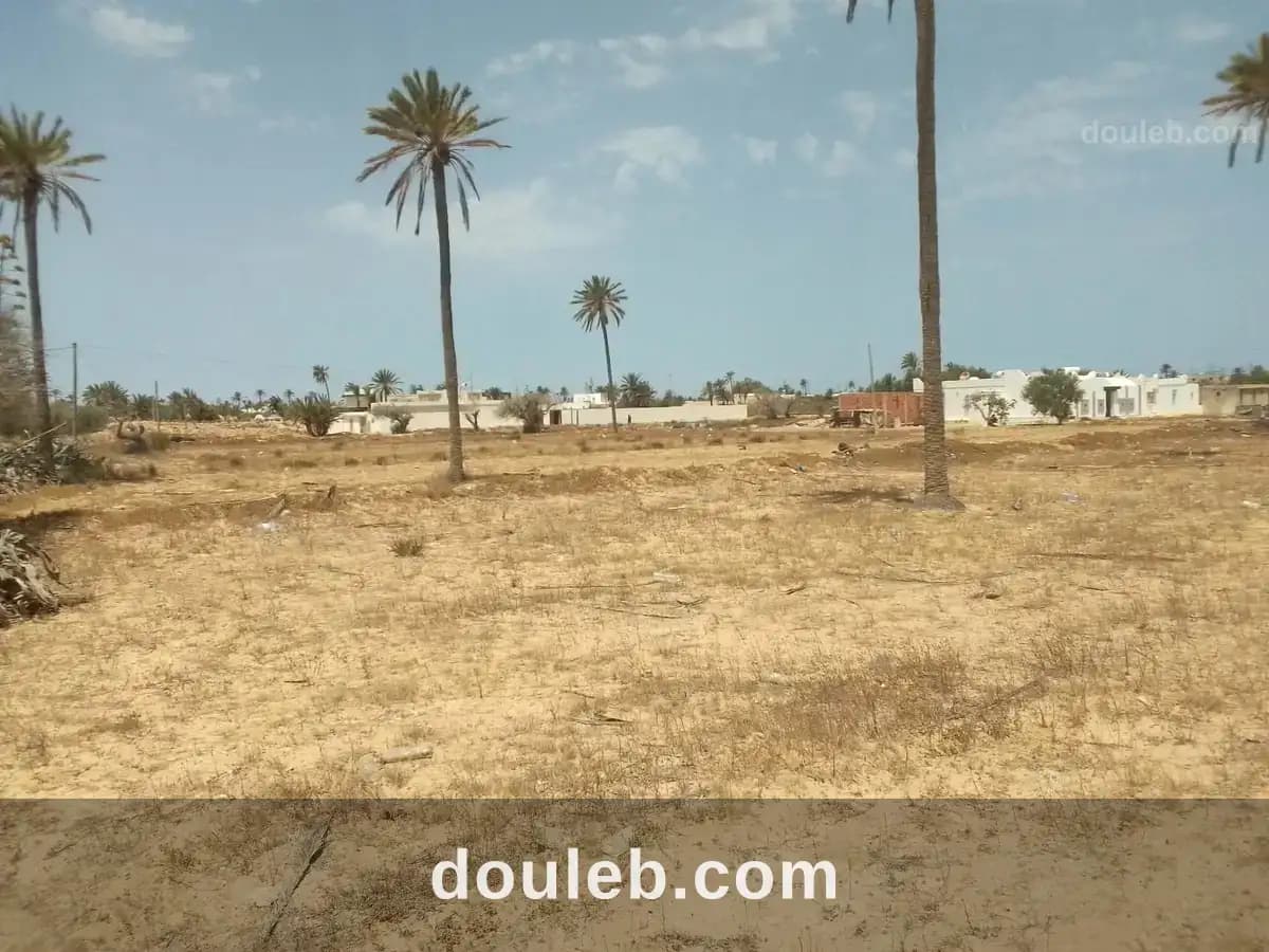Très jolie lot de terrain nu a jerba midoun à Médenine