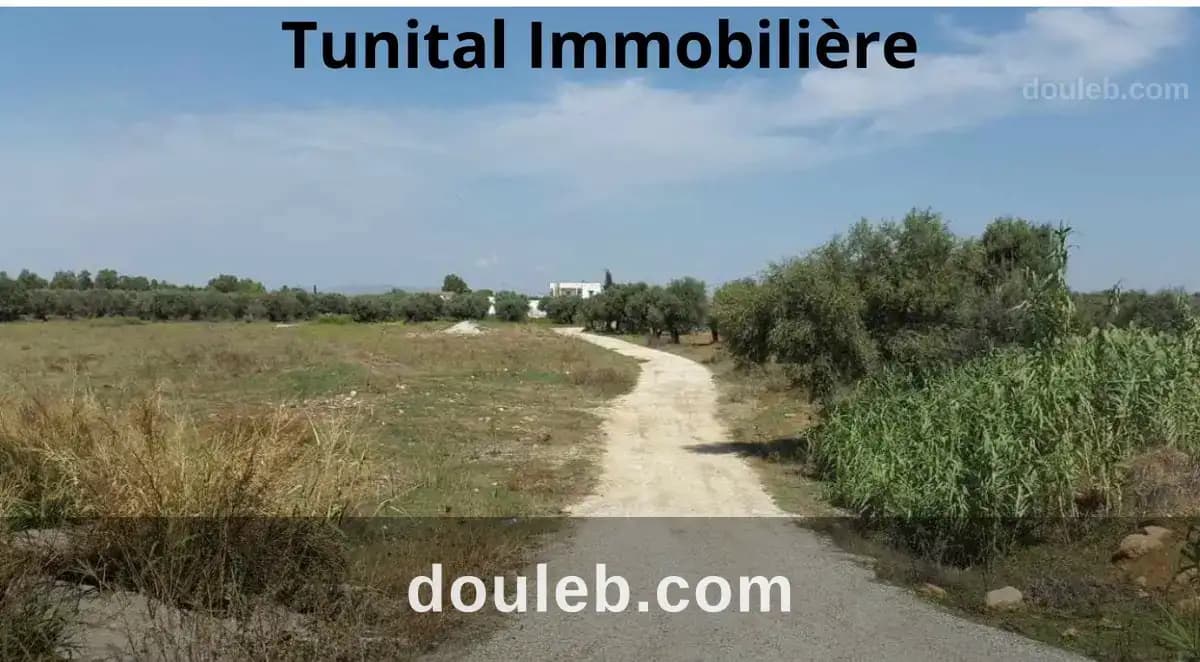 Neuf lots de terrains à Bizerte