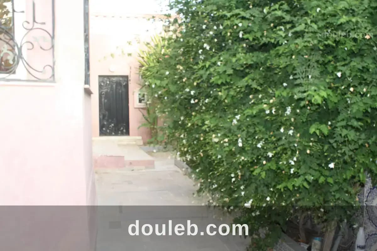 Gps villa en duplexe jardin divers plus appart s2 à Ben Arous