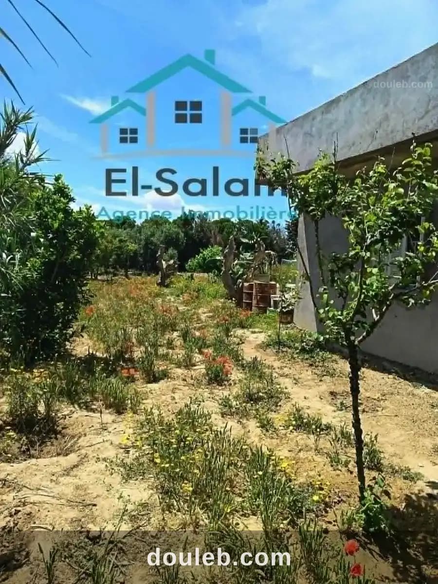 Maison a kelibia opportunité a ne pas raté à Nabeul