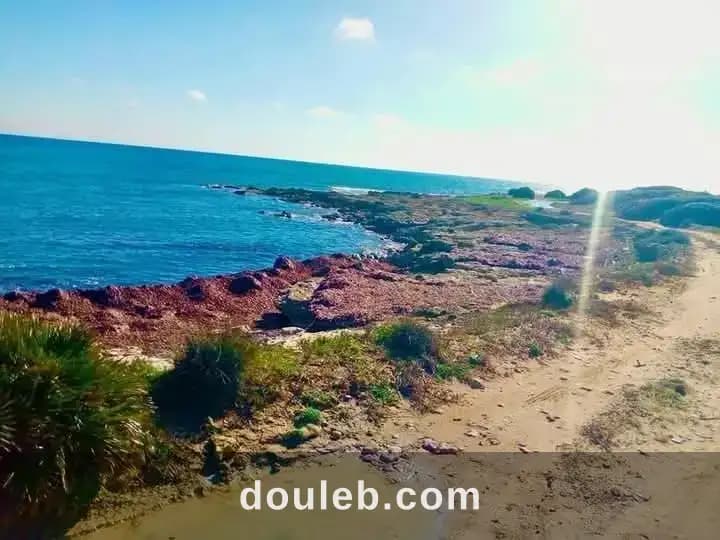 Kerkouen kelibia - Miniature 2