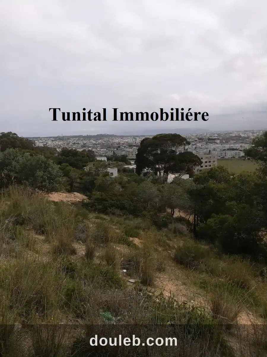 Terrain vue panoramique à Tunis
