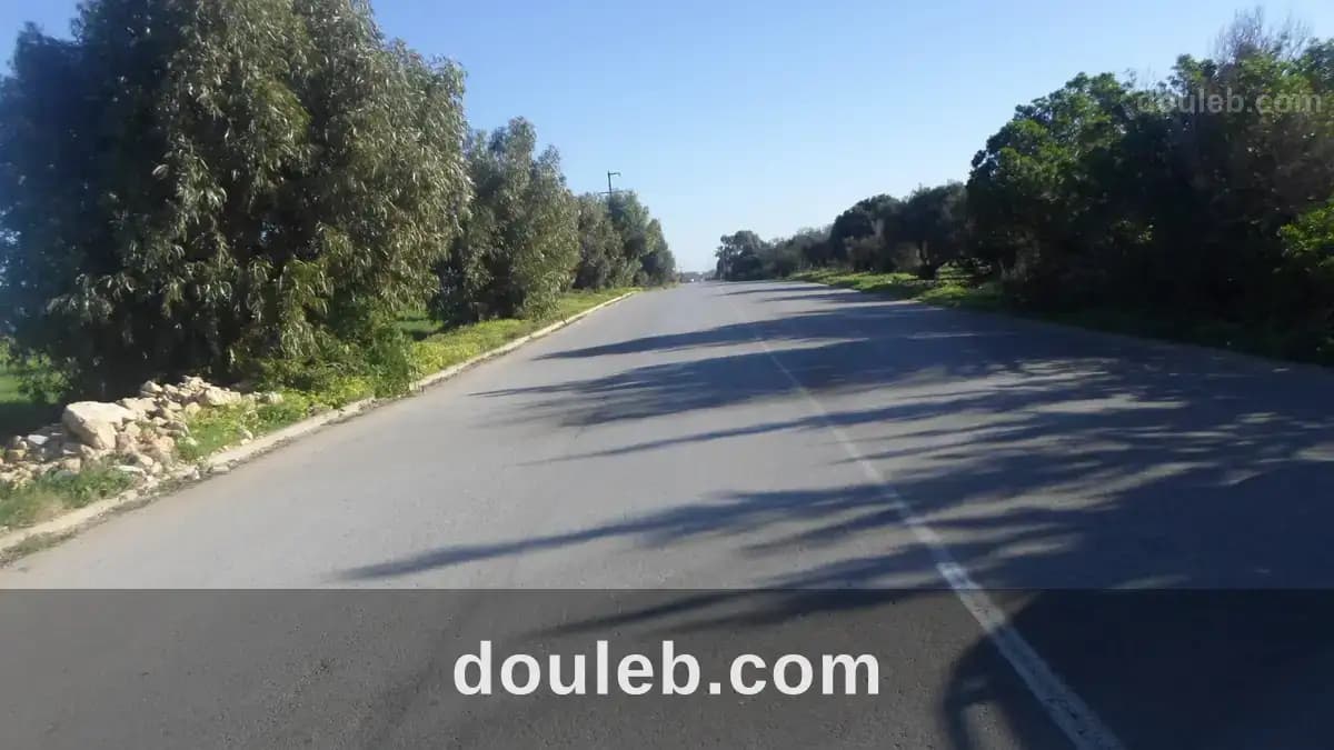 Terrain sur la route principale à hammem el ghzez à Nabeul