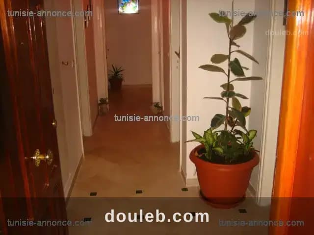 Luxueux 3 chambres et un salon à Tunis