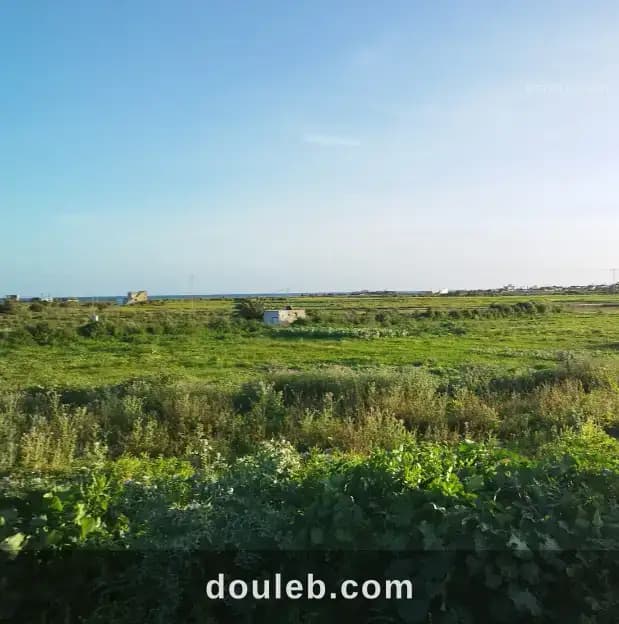 Terrainavec vue sur mer à kelibia à Nabeul