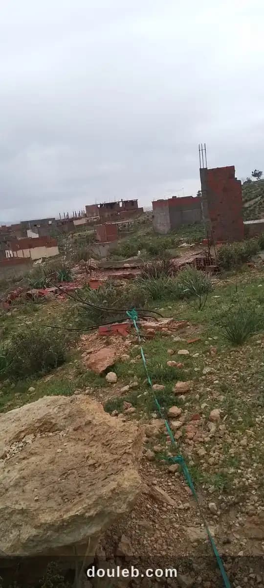Terrain 200m - Miniature 3