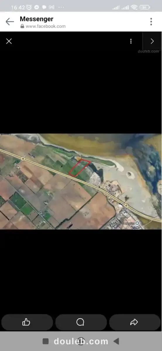 Terrain d'investissement à Ben Arous