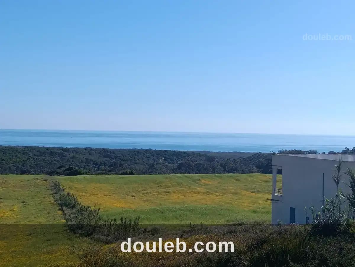 Tamzerat terrain à Nabeul