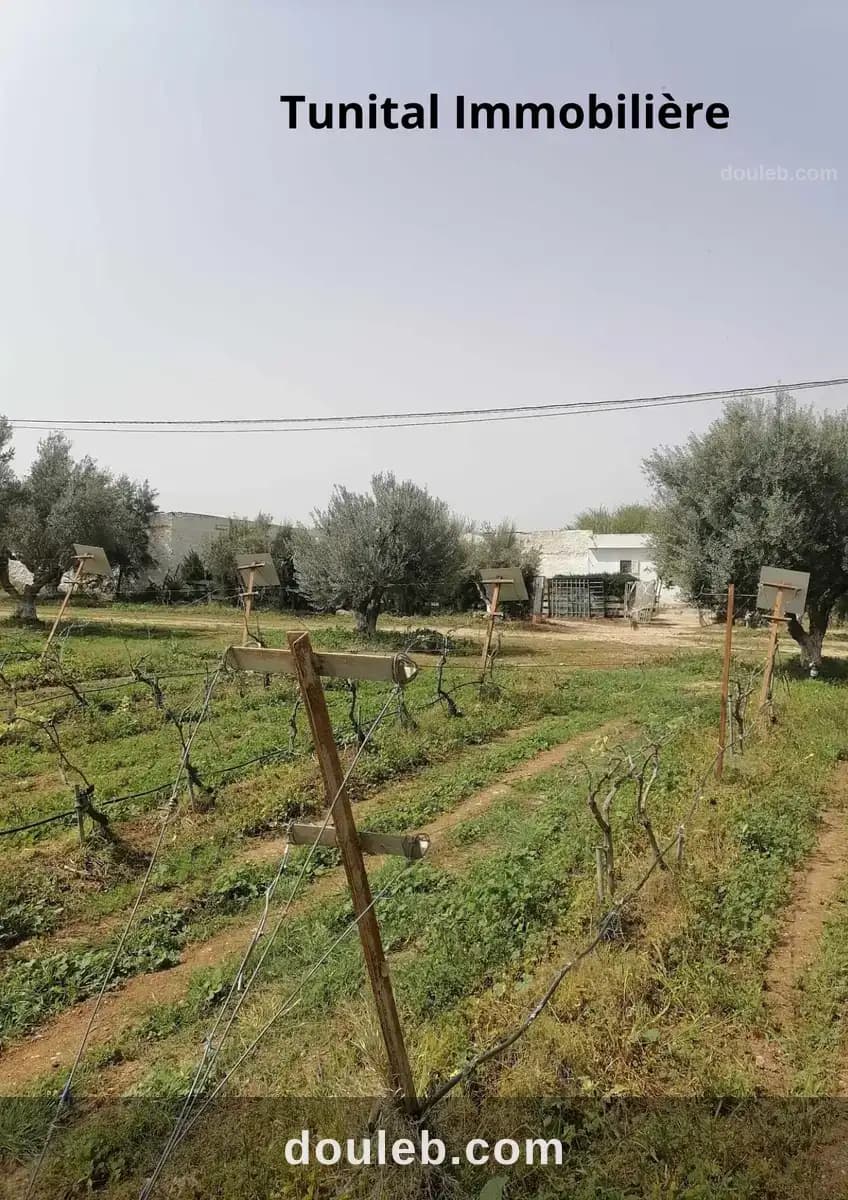 Ferme à manouba à Manouba