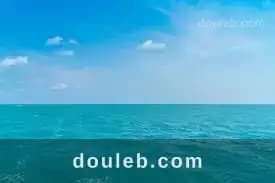 Offre limité de 5 hectare à Nabeul