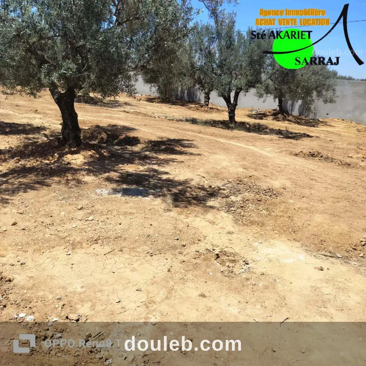 Lot clôturé 800m sur l'autoroute à kalaa seghira à Sousse
