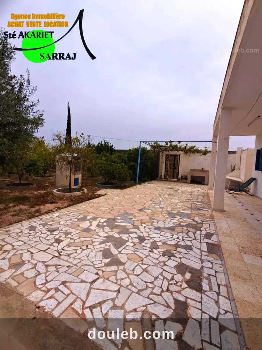 Senia cloturé 2 hectares à kalaa kebira baloum à Sousse