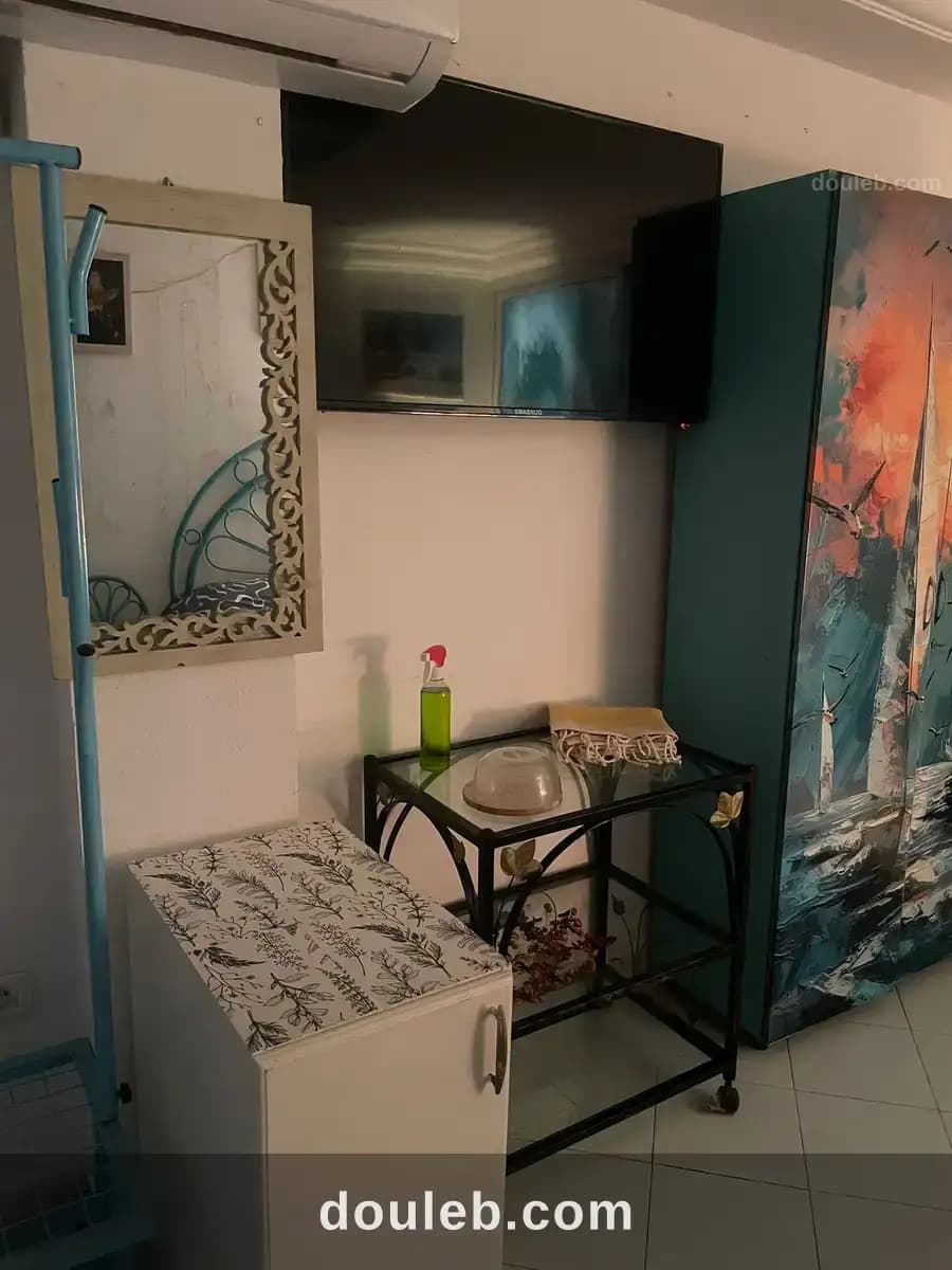 Joli studio s0 a el menzah 6 - Miniature 3