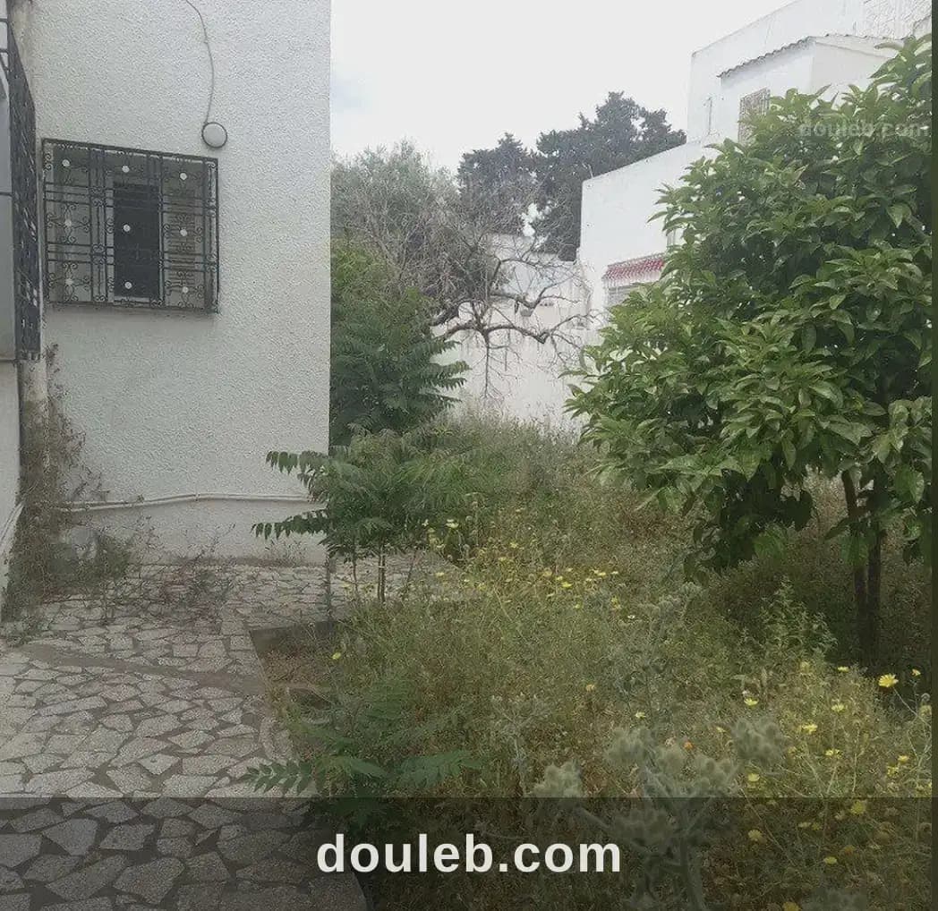 Une magnifique villa située dans un quartier calme - Miniature 4