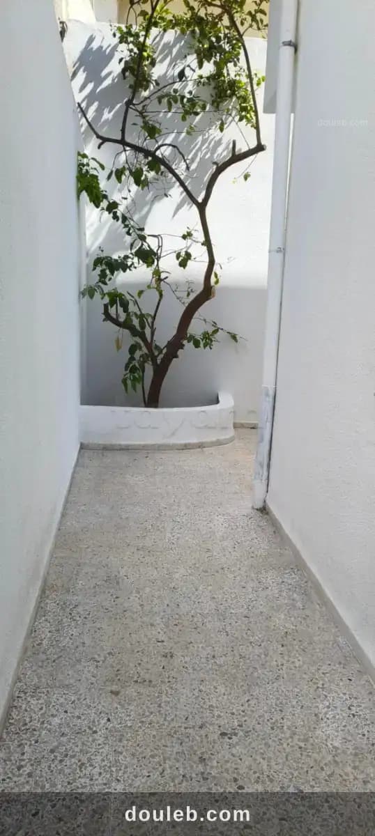 Appartement au rdc àhay hana bizerte - Miniature 4