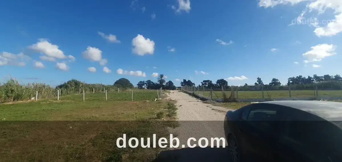 200m2 a tomzrate kelibia seulement a 24000 dt à Nabeul