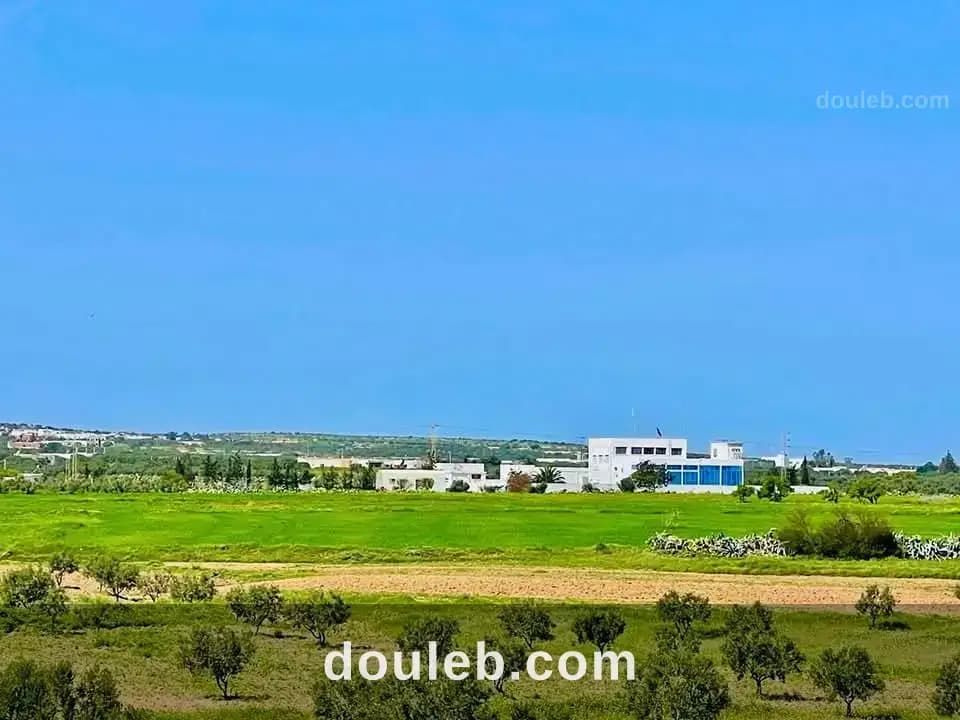 Des lots a bouficha à Sousse