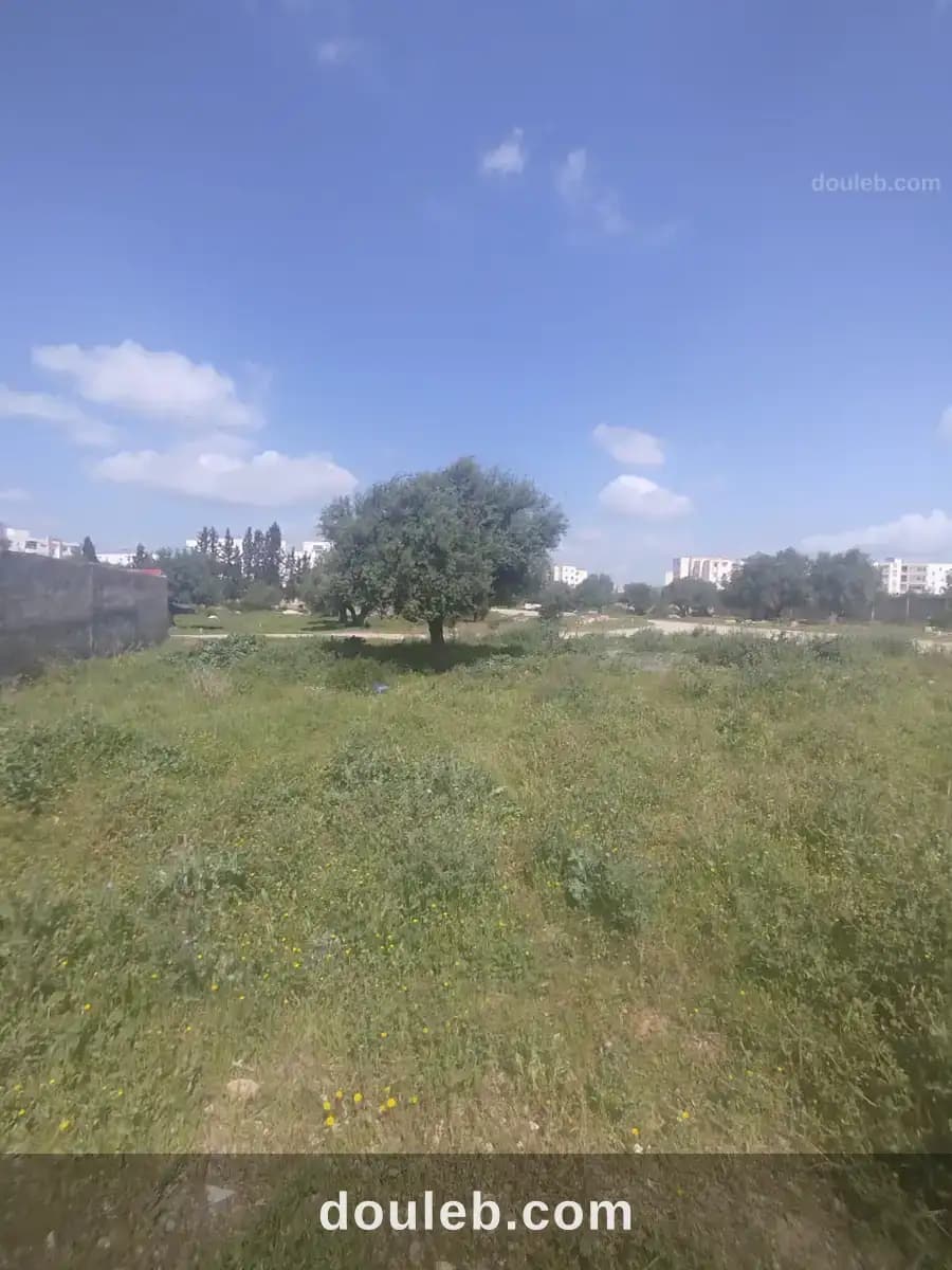 Un lot de terrain de 460m2 à mannouba à Manouba