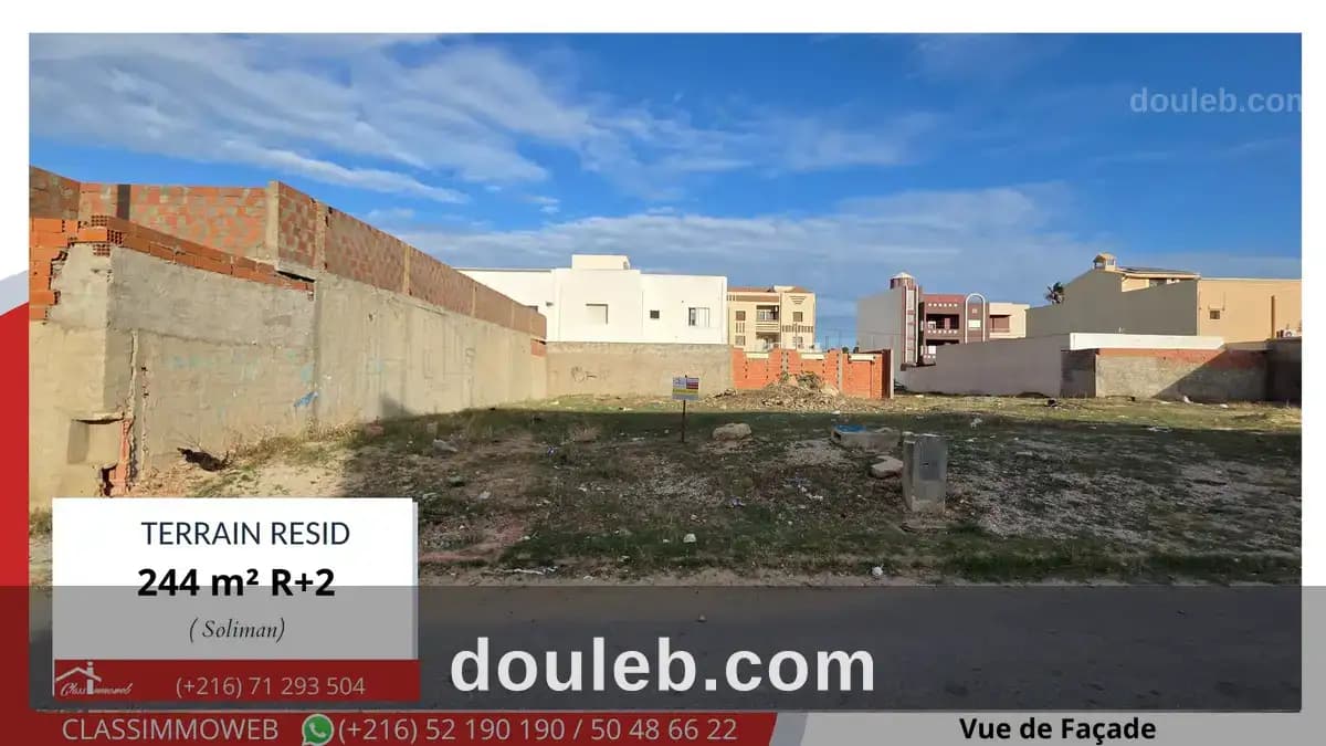 Terrain de 244 m2 à 550 d le m2 à Nabeul