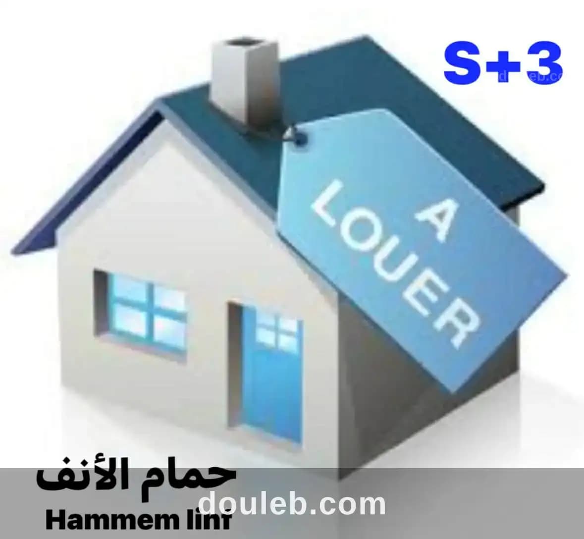 Apparemment s 3 meublé à Ben Arous