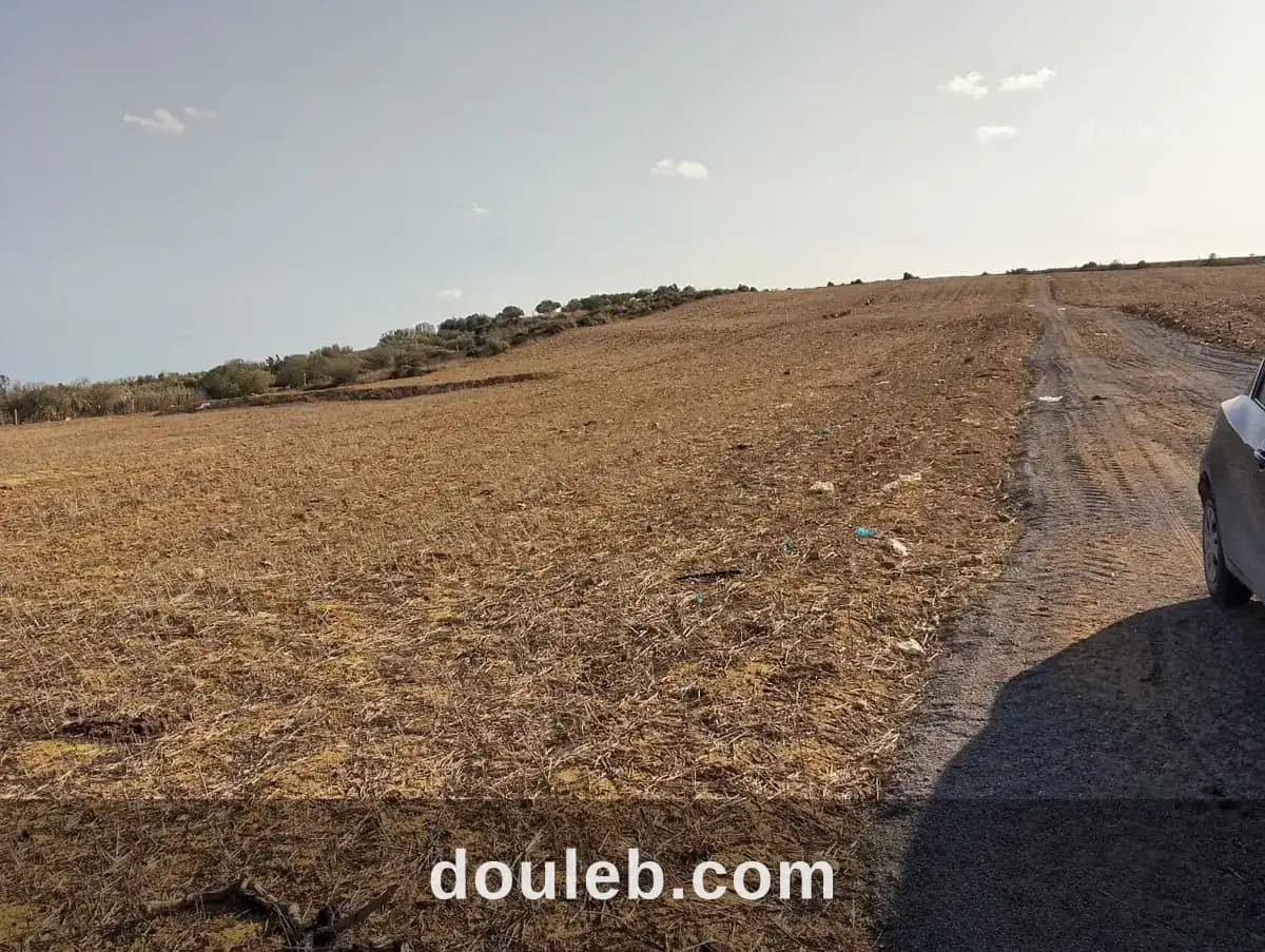 Terrain azmour à Nabeul