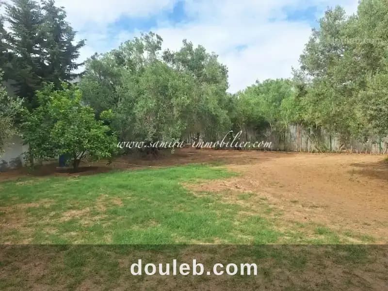 L125 villa la tulipe à Nabeul