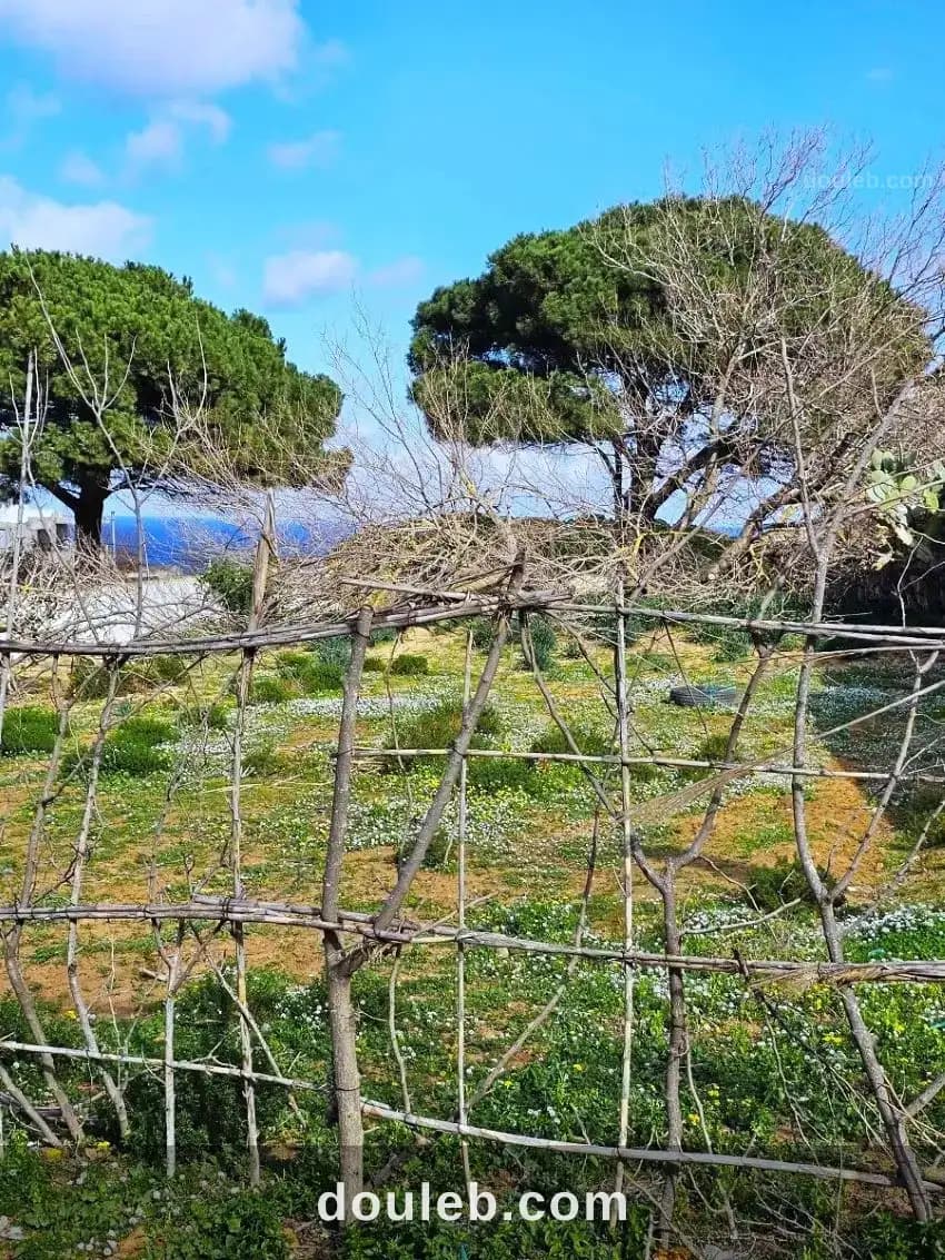 Terrain 500 m2 a rafraf plage lahmeri à Bizerte