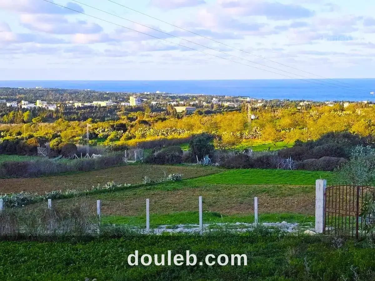 Terrain 972 m2 à rafraf sounine à Bizerte