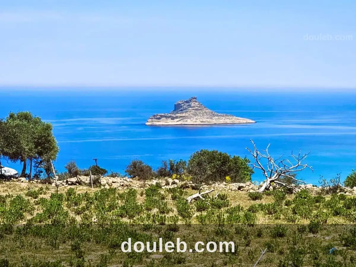 Terrain 2500 2 sur les hauteurs de rafraf à Bizerte