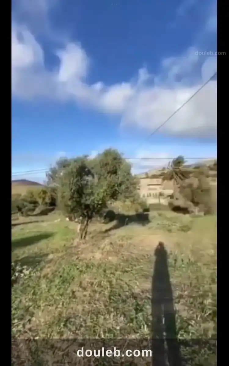 Opportunité à fajah - Miniature 3
