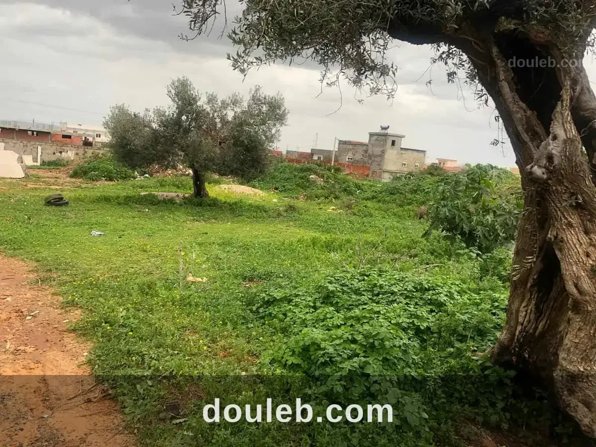 Opportunité à manzel bourguiba à Bizerte