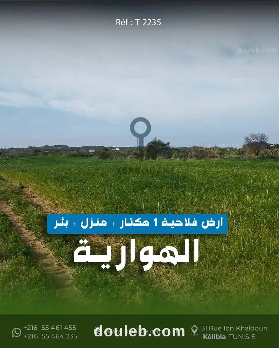 Terrain d'un hectare à el haouaria à Nabeul