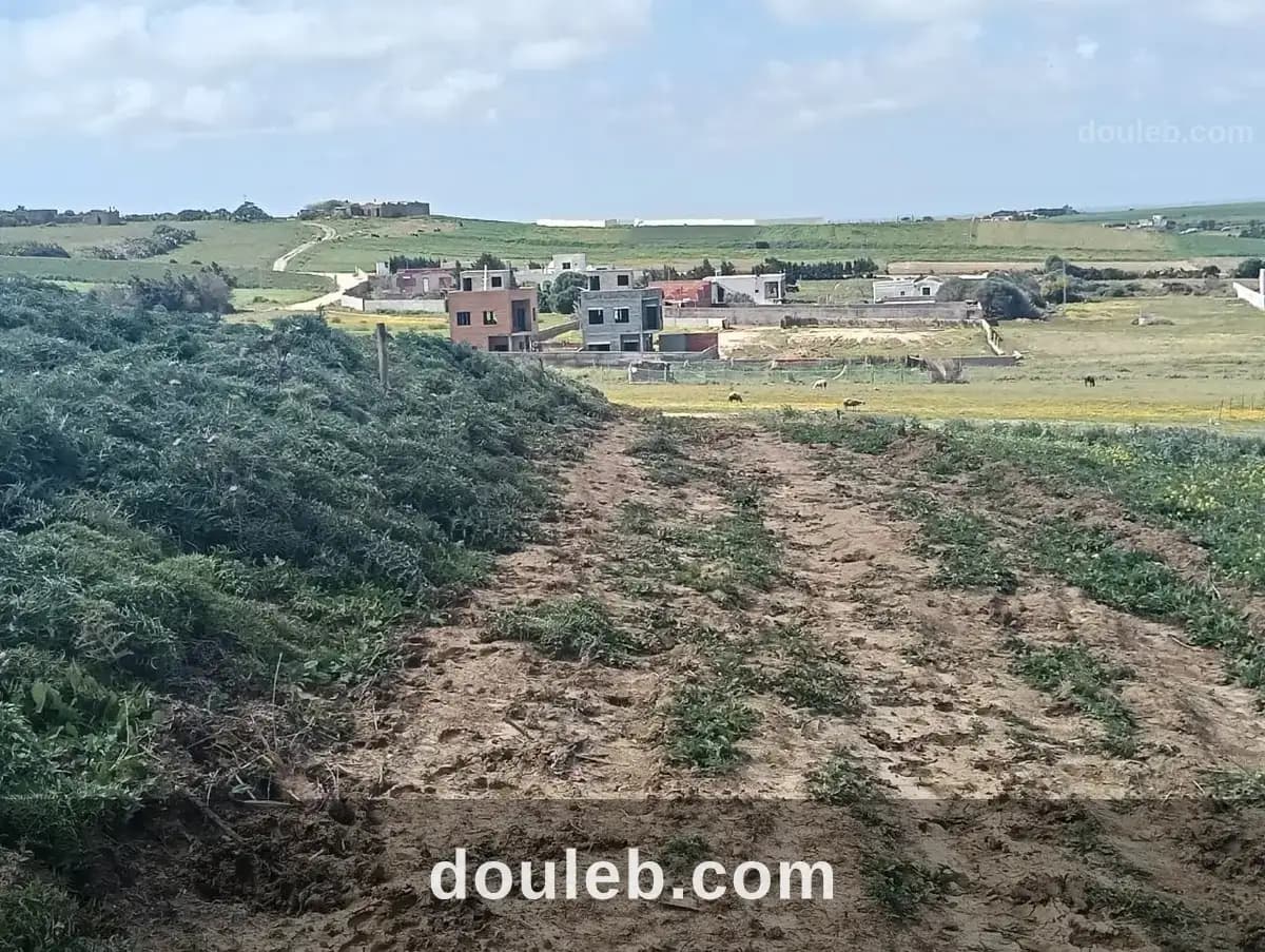 Un terrain a tamezrat kélibia à Nabeul