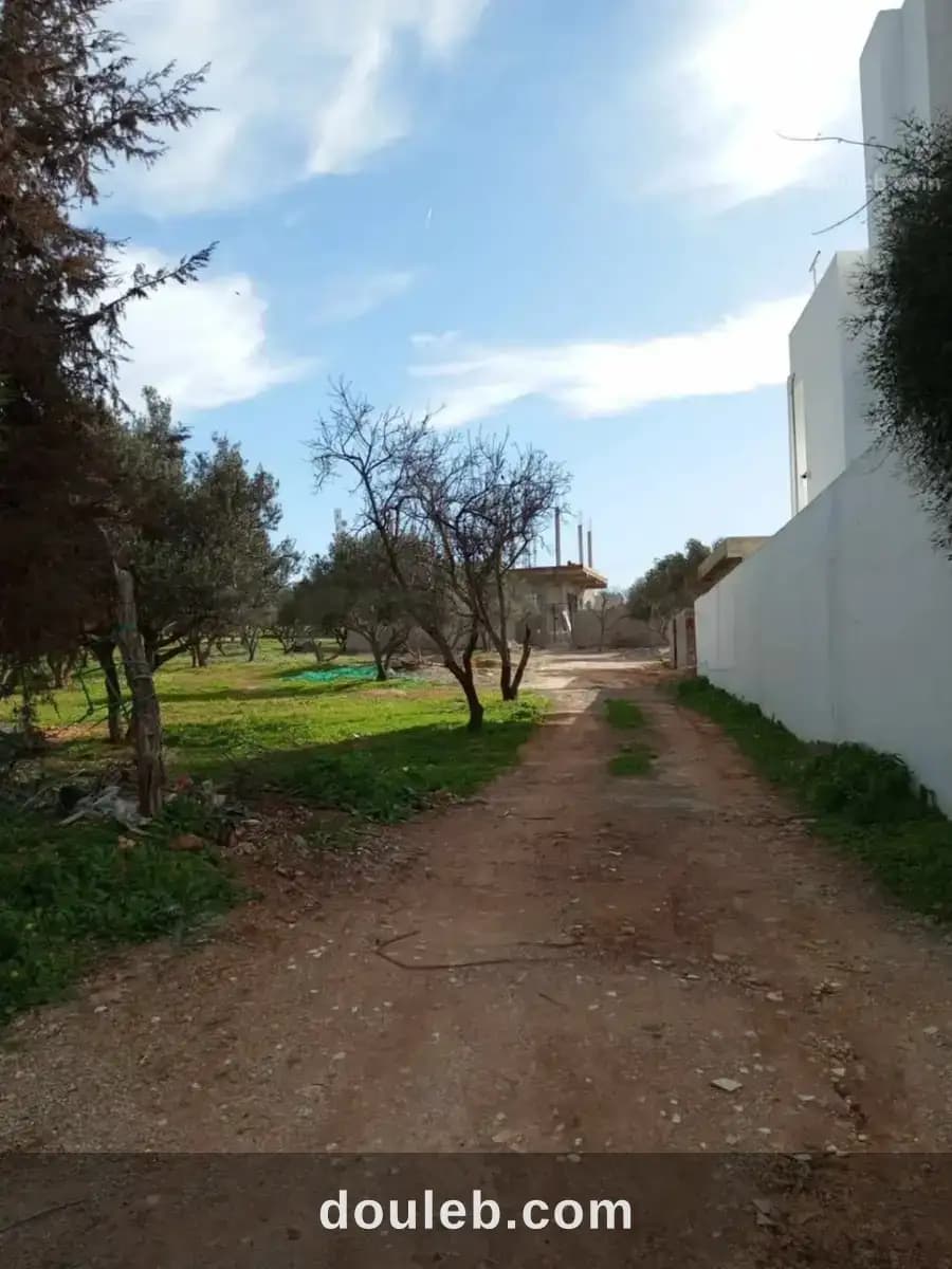 Un terrain pour habitation à Ariana