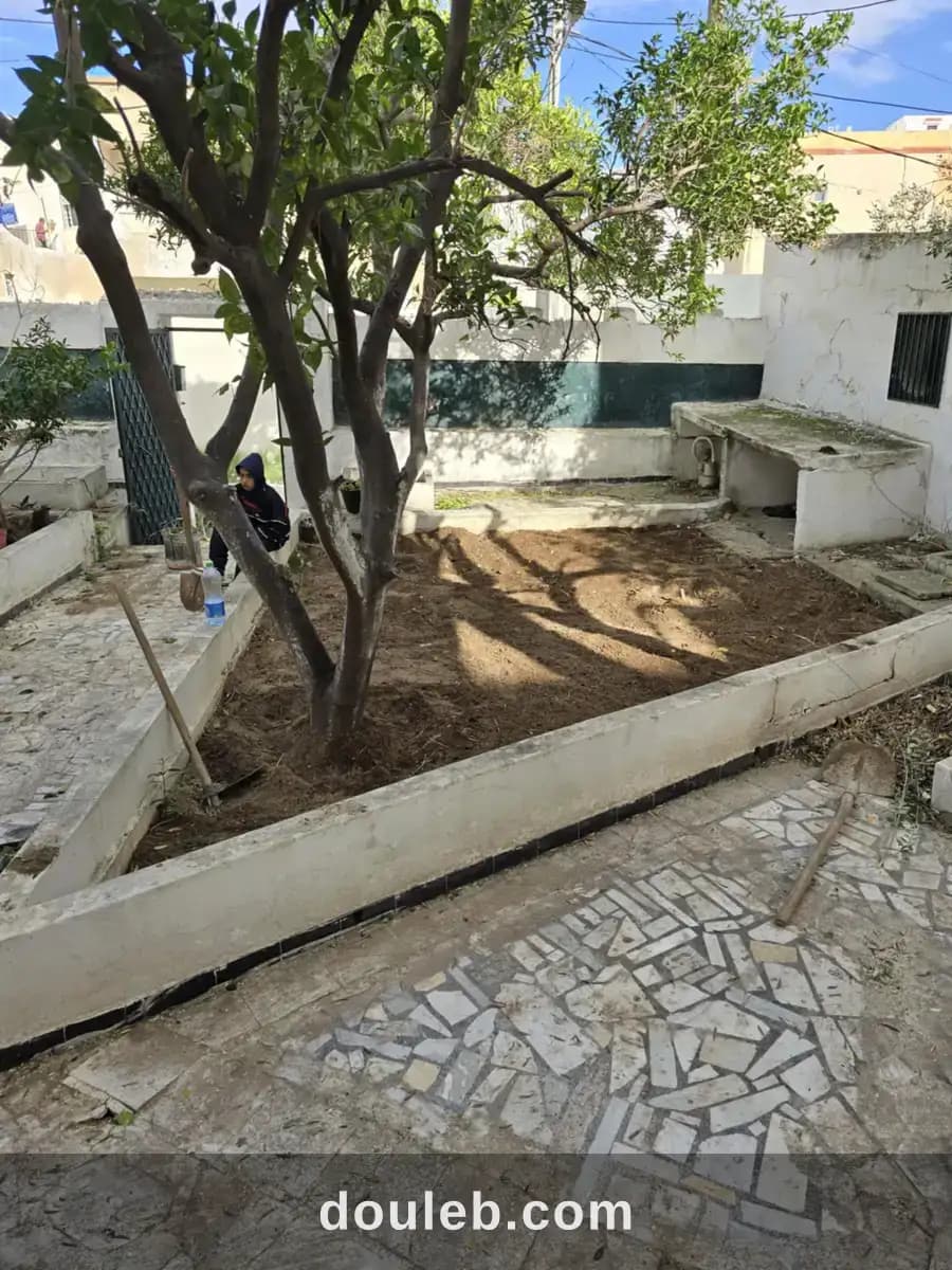 Villa montfleury à Tunis