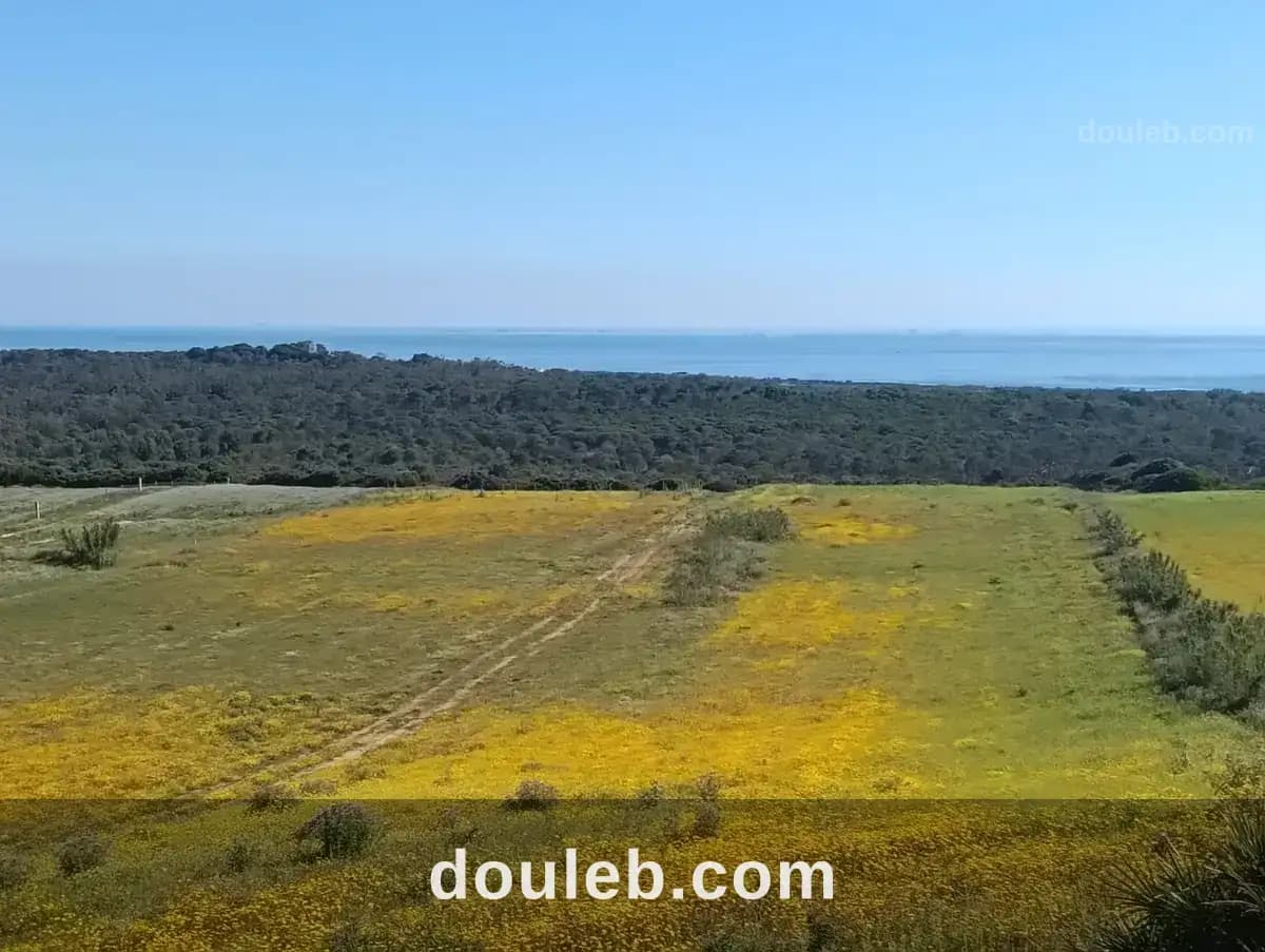 Vue mer à tamezrat à Nabeul