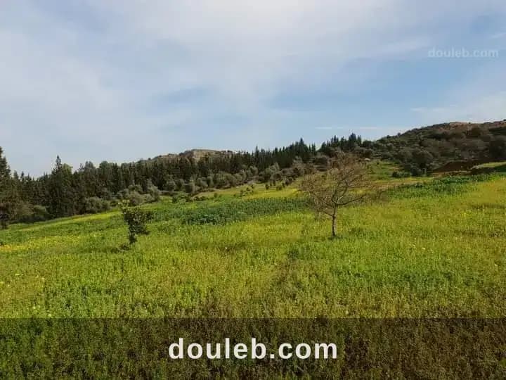 Grande villa à sidi thabet à Ariana