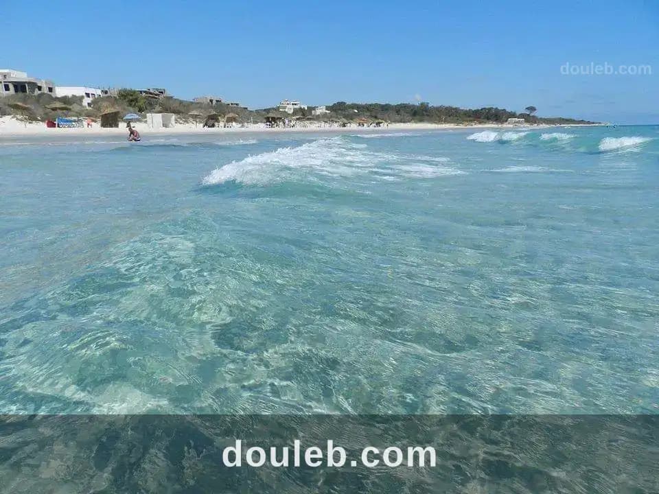 Un terrain de 5 ha a partager à Nabeul