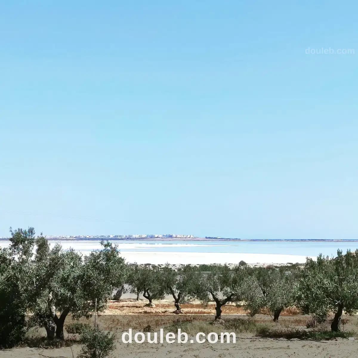 Terrain avec vue panoramique foukaia à Sousse