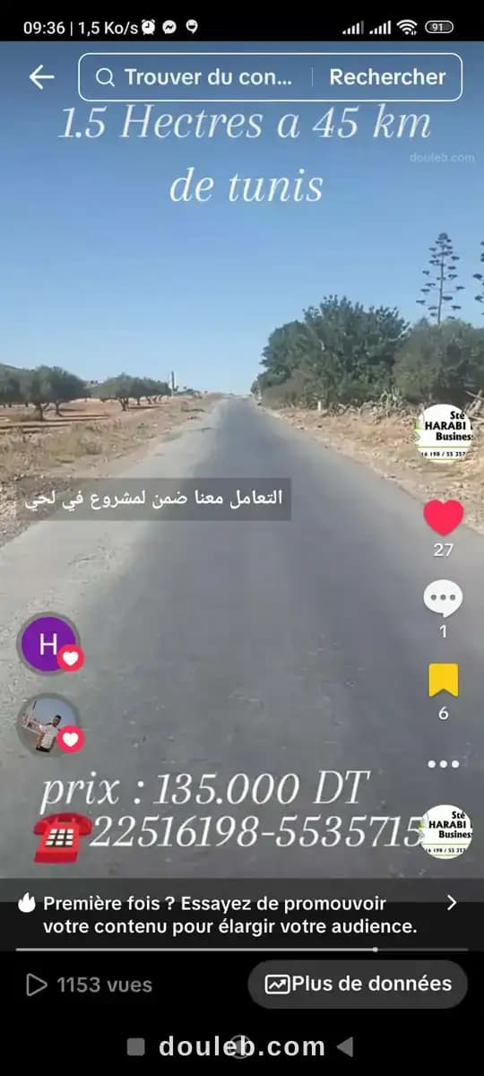 Un hectare et demi avec d'oliviers à Zaghouan