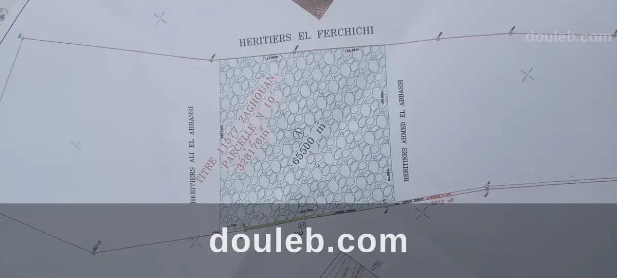 Ferme de 6h5 1 400 oliviers chemlali de trois ans à Zaghouan