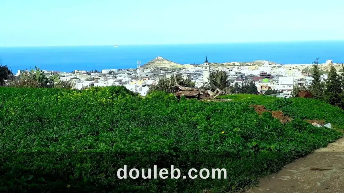 Terrain 820 m2 a rafraf à Bizerte