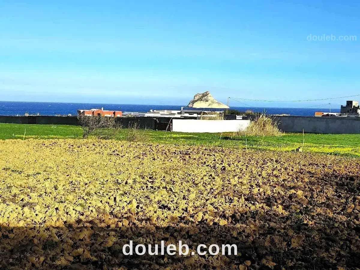 Terrain 500 m2 rafraf plage aïn mestir à Bizerte