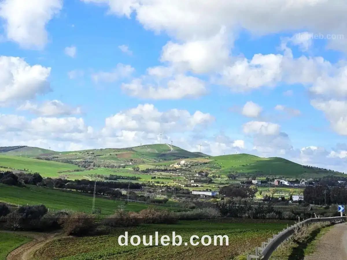 Terrain 1 hect a rafraf à Bizerte