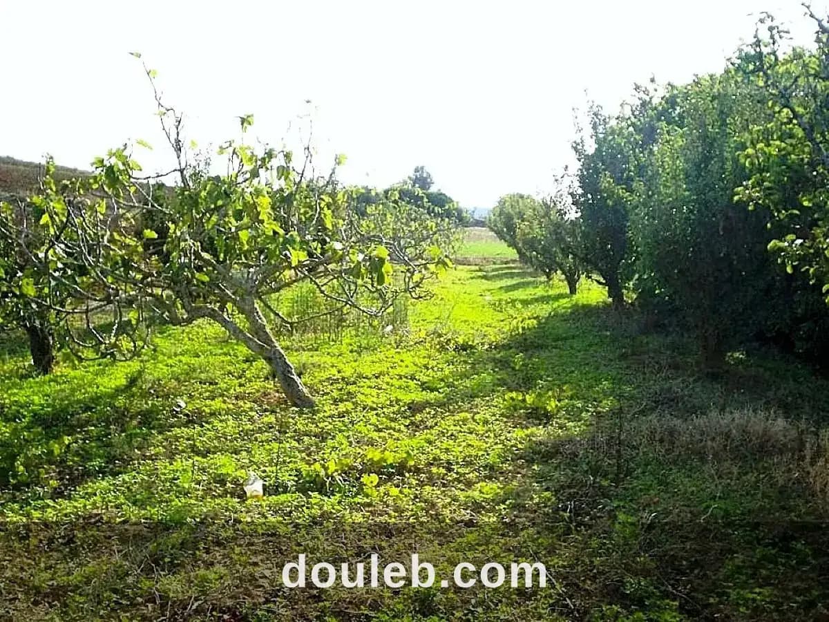 Terrain 5300 m2 a rafraf à Bizerte