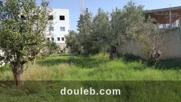 Terrain de 500m en face gare birbouregba hammamet à Nabeul